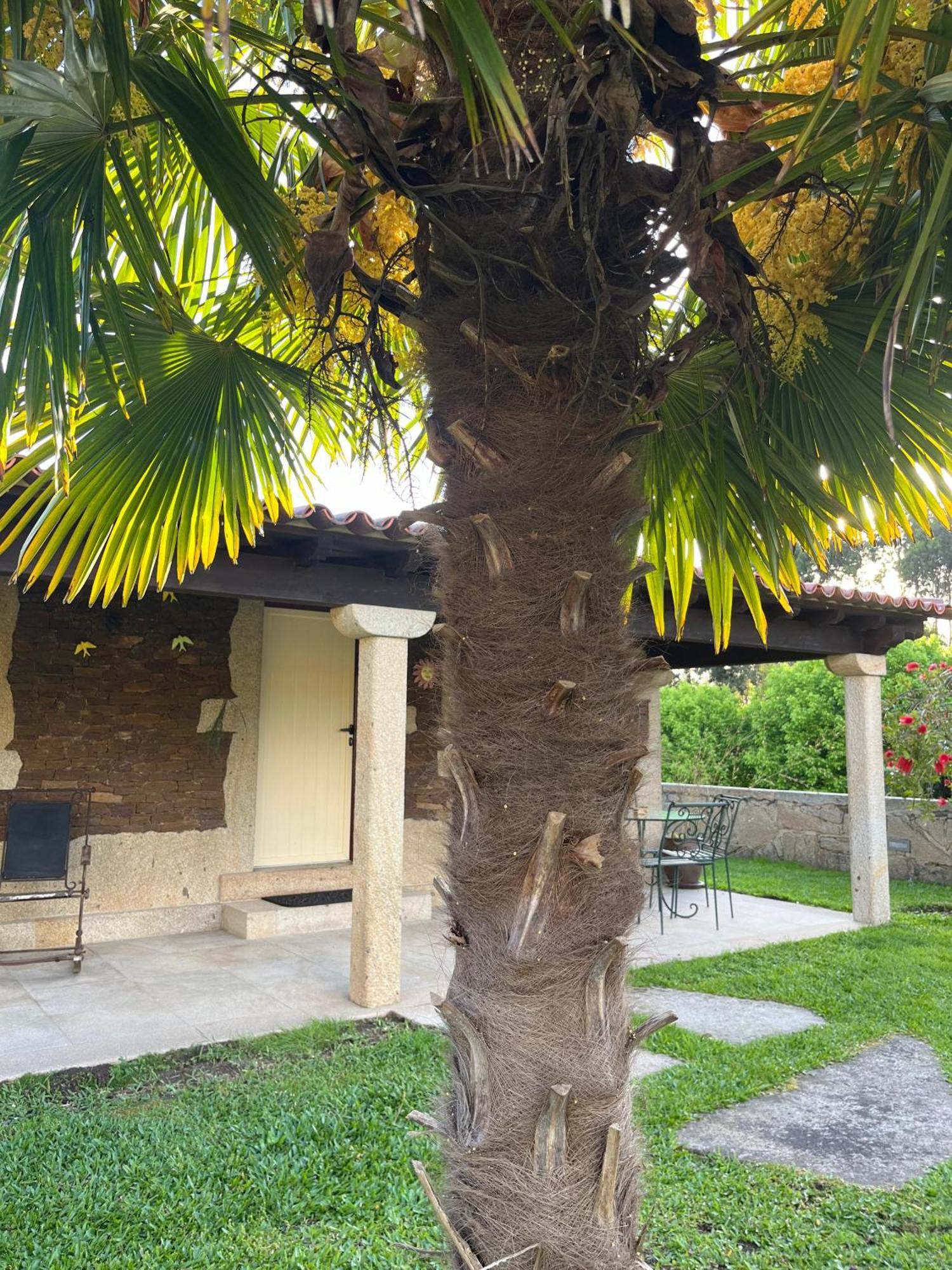 הוילה פונטה דה לימה Casas Do Picoutinho מראה חיצוני תמונה